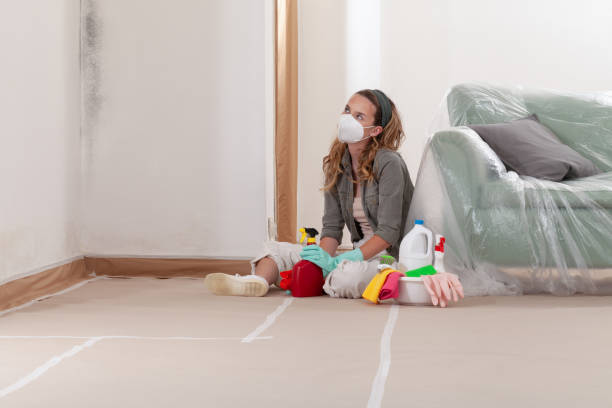 Reliable Mold Testing contractor in Darien, IL by WQB Mold Removal